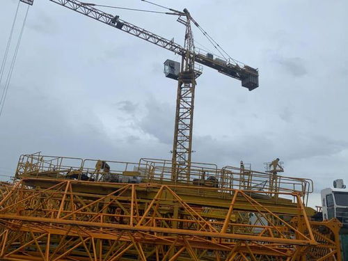 金山有序開展租金減免,為企業(yè)減負護航