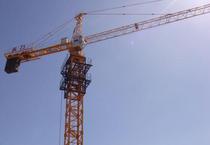 【塔吊5010】塔吊5010價格_塔吊5010批發(fā)_塔吊5010廠家 -