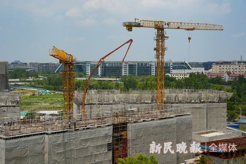 申城規(guī)模最大的保障性租賃住宅項(xiàng)目加緊施工